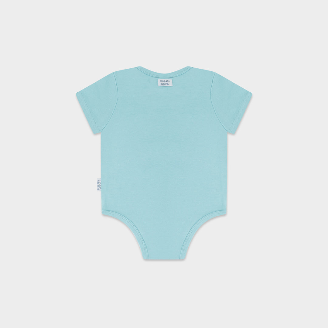 India Bodysuit (6-9 months, 9-12 months, 12-18 months)
